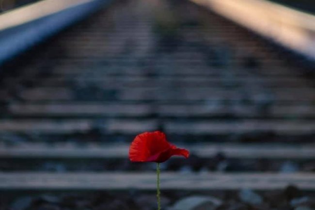 Samo tačkica na putu kroz vječnost