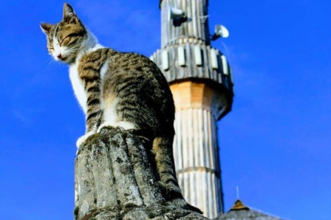 O dostojanstvu jednog naroda