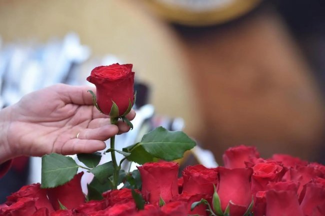 Život je dar samo za jednu priliku