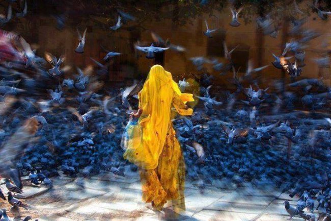 Izgubljena poema (Sokak Sreće 2015)