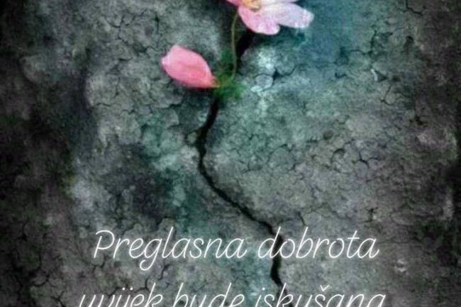 Svijetu su potrebne lijepe i doživljene, a ne smišljene riječi