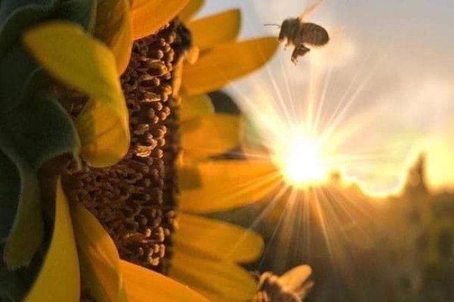 Digitalni postmodernizam