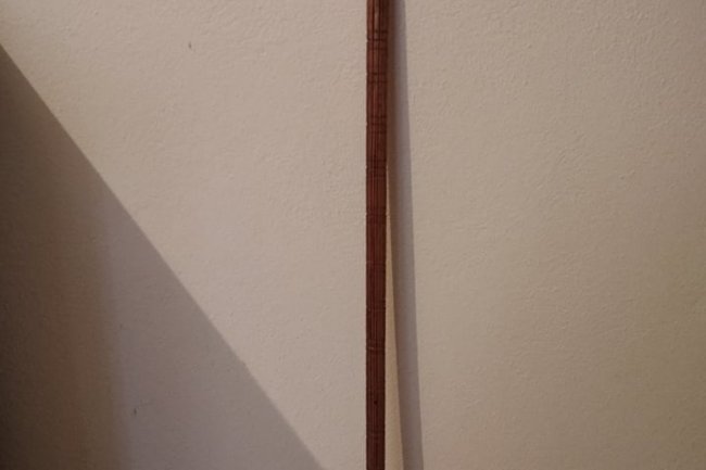 Štap koji jede dane