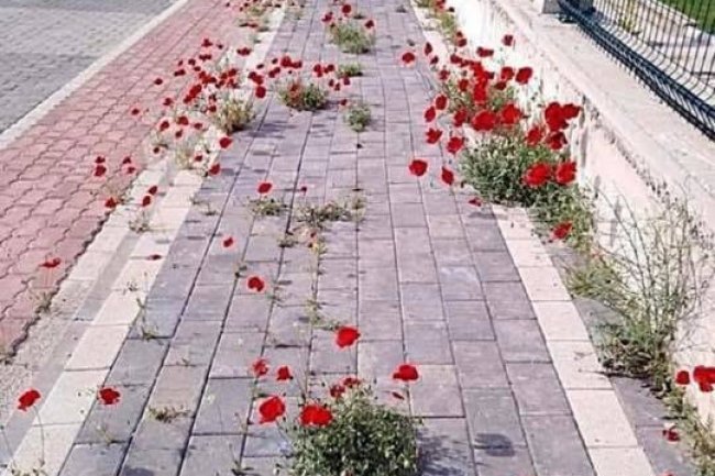 Ljudski koraci često unište svu ljepotu