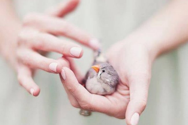 Dobro je na dobar način činiti dobro