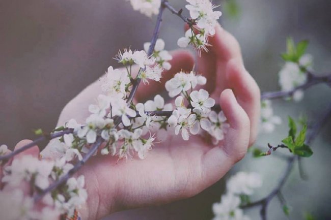 Proljeće voli knjige