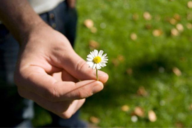 Ljubav je milost koja se spušta milostivim i poniznim