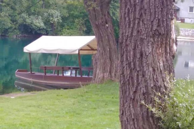 Obaveza, ili potreba iz ljubavi