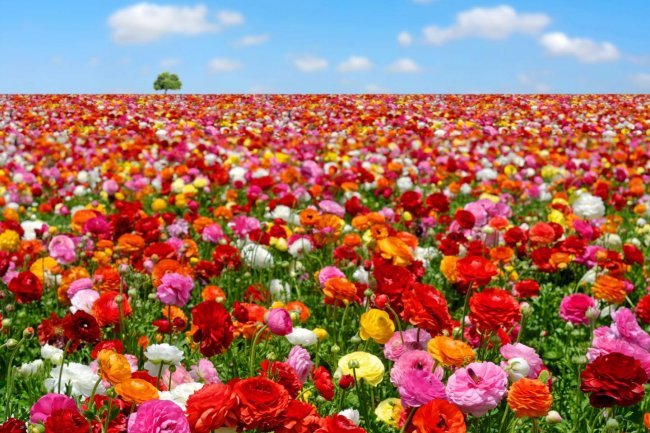 Stvarnost jedne ljubavi