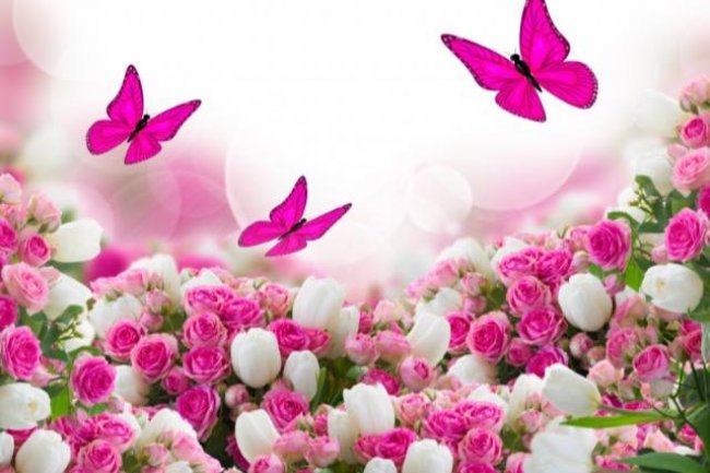 Ne zanimaju me prazna obećanja, prazna duša i srce što ne zna da voli