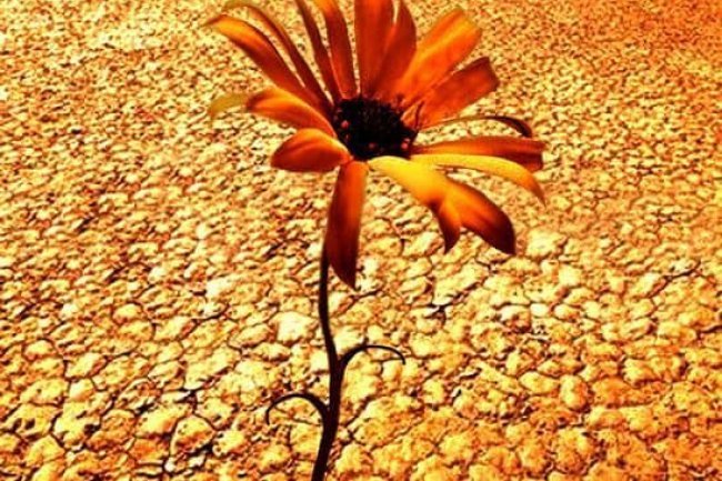 Zašto previše brineš?